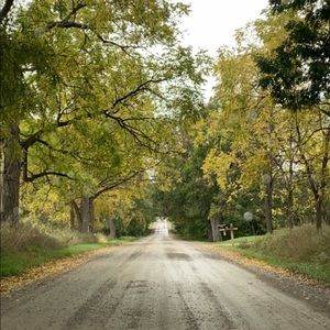 Meet your Posher, Constance